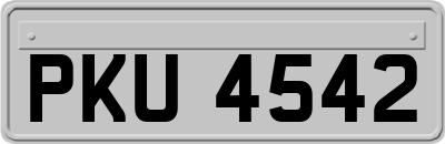 PKU4542