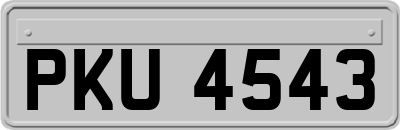 PKU4543