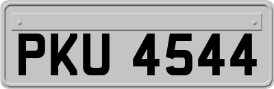 PKU4544