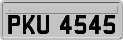 PKU4545