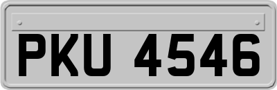 PKU4546
