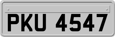 PKU4547