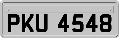 PKU4548