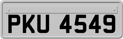 PKU4549