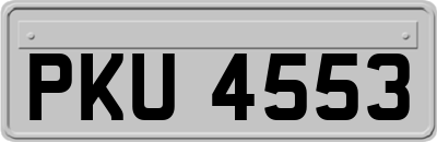 PKU4553