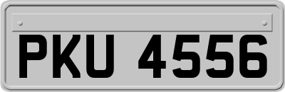 PKU4556