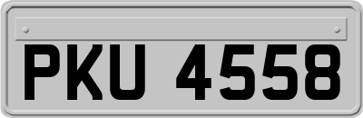 PKU4558