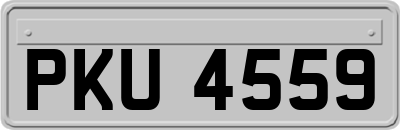 PKU4559