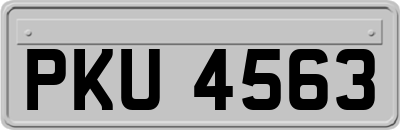 PKU4563