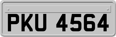 PKU4564