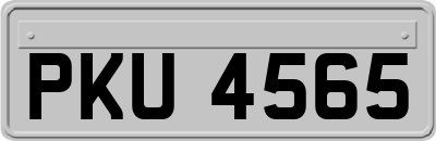 PKU4565