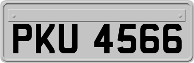 PKU4566