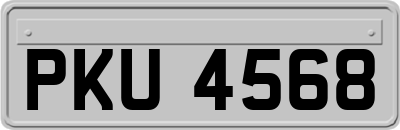 PKU4568