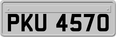 PKU4570