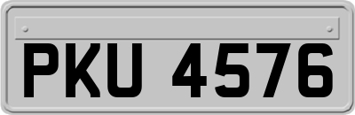 PKU4576