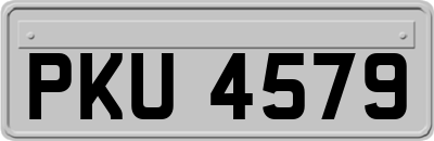 PKU4579