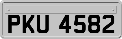 PKU4582