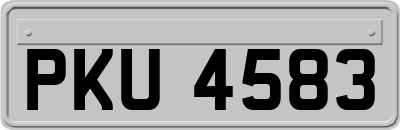 PKU4583
