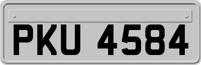 PKU4584