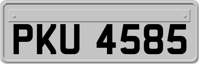 PKU4585