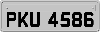 PKU4586
