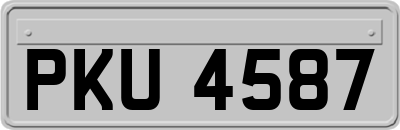 PKU4587