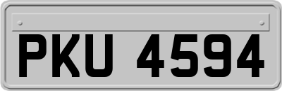 PKU4594