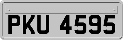 PKU4595