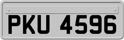 PKU4596