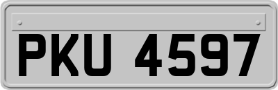 PKU4597