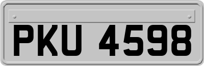 PKU4598