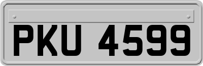 PKU4599