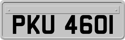 PKU4601