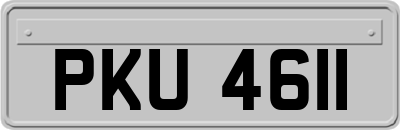 PKU4611
