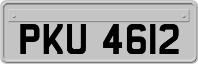 PKU4612