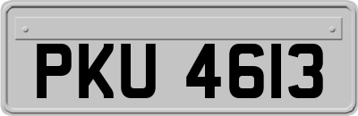PKU4613