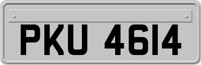PKU4614