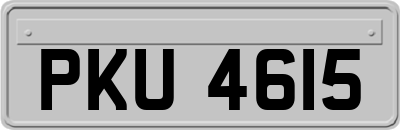 PKU4615