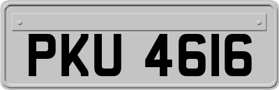 PKU4616