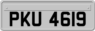 PKU4619