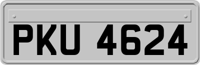 PKU4624