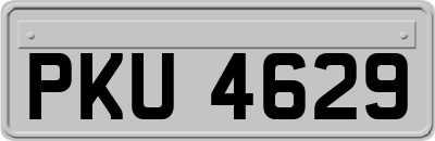 PKU4629