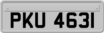 PKU4631