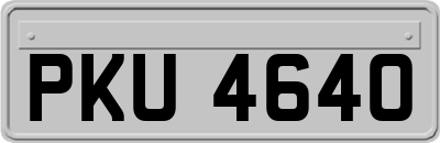 PKU4640