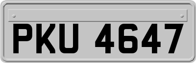 PKU4647