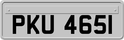 PKU4651