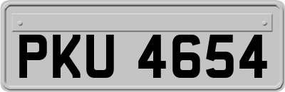 PKU4654