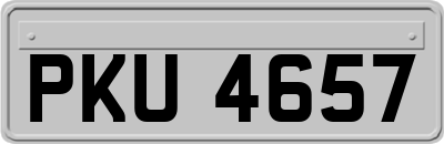 PKU4657