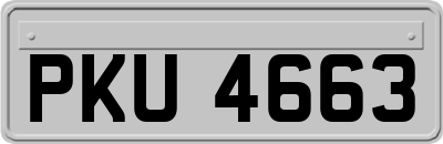 PKU4663
