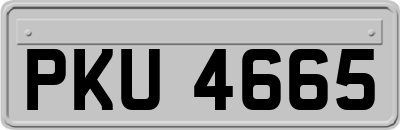 PKU4665
